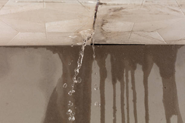 Professional Water Extraction technician working in Reeds, MO